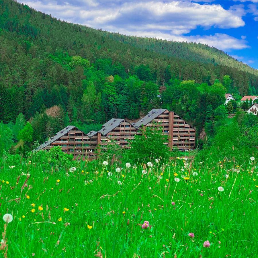Ferienwohnung Guenter Im Tonbachtal Baiersbronn Bagian luar foto